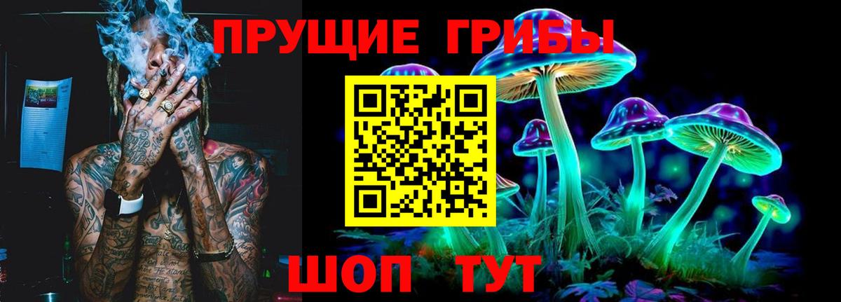 Камень-на-Оби  Галлюциногенные грибы мухоморы  Вход с VPN  Галлюциногенные грибы MAGIC MUSHROOMS 