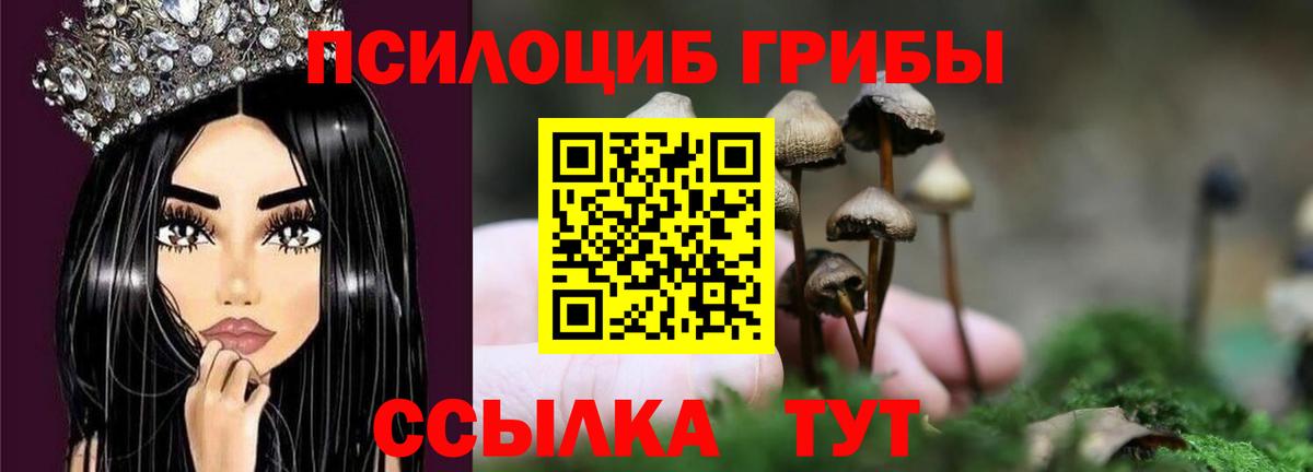 Галлюциногенные грибы Psilocybine cubensis Камень-на-Оби
