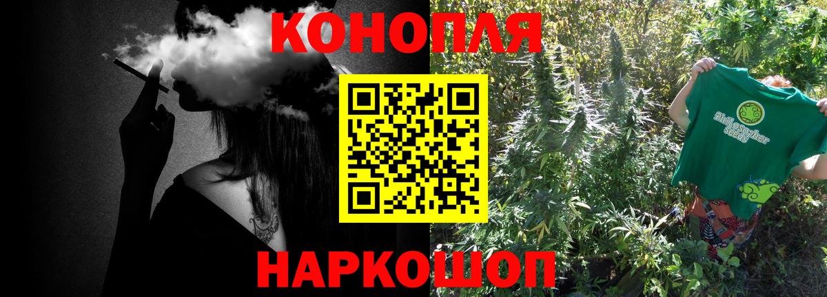 Каннабис планчик Камень-на-Оби